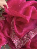 Hot Pink | Noor Organza Kamdani Saree