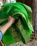 Raw mango | Noor Organza Kamdani Saree