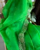Raw mango | Noor Organza Kamdani Saree