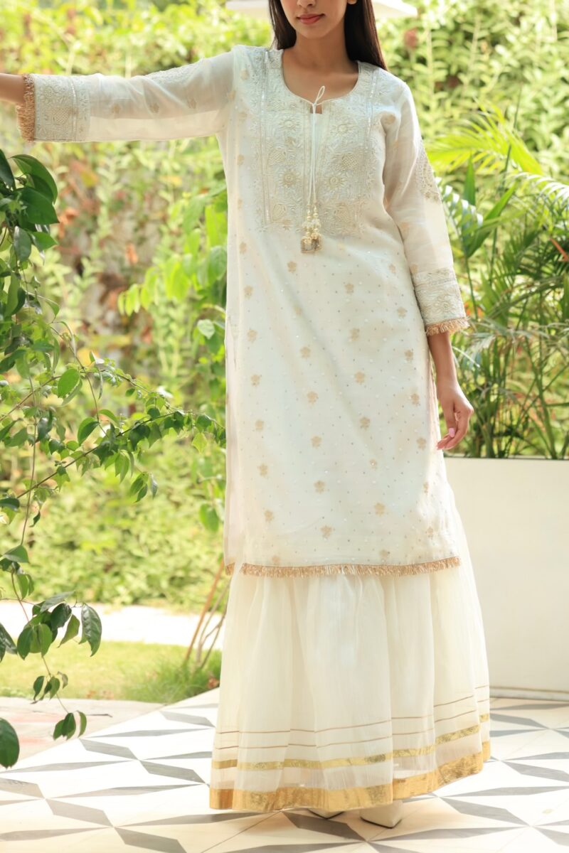 Benarasi Zari Chanderi Chikankari Sharara Set