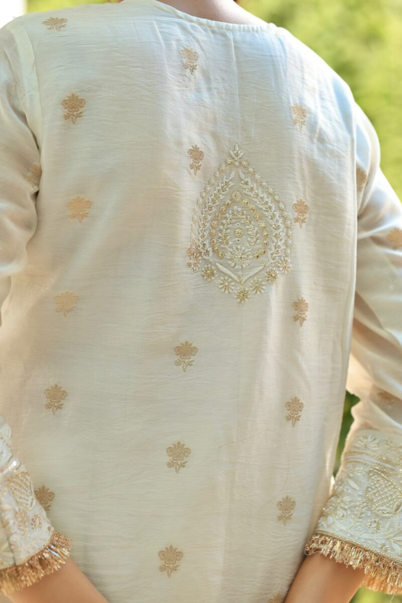 Benarasi Zari Chanderi Chikankari Sharara Set