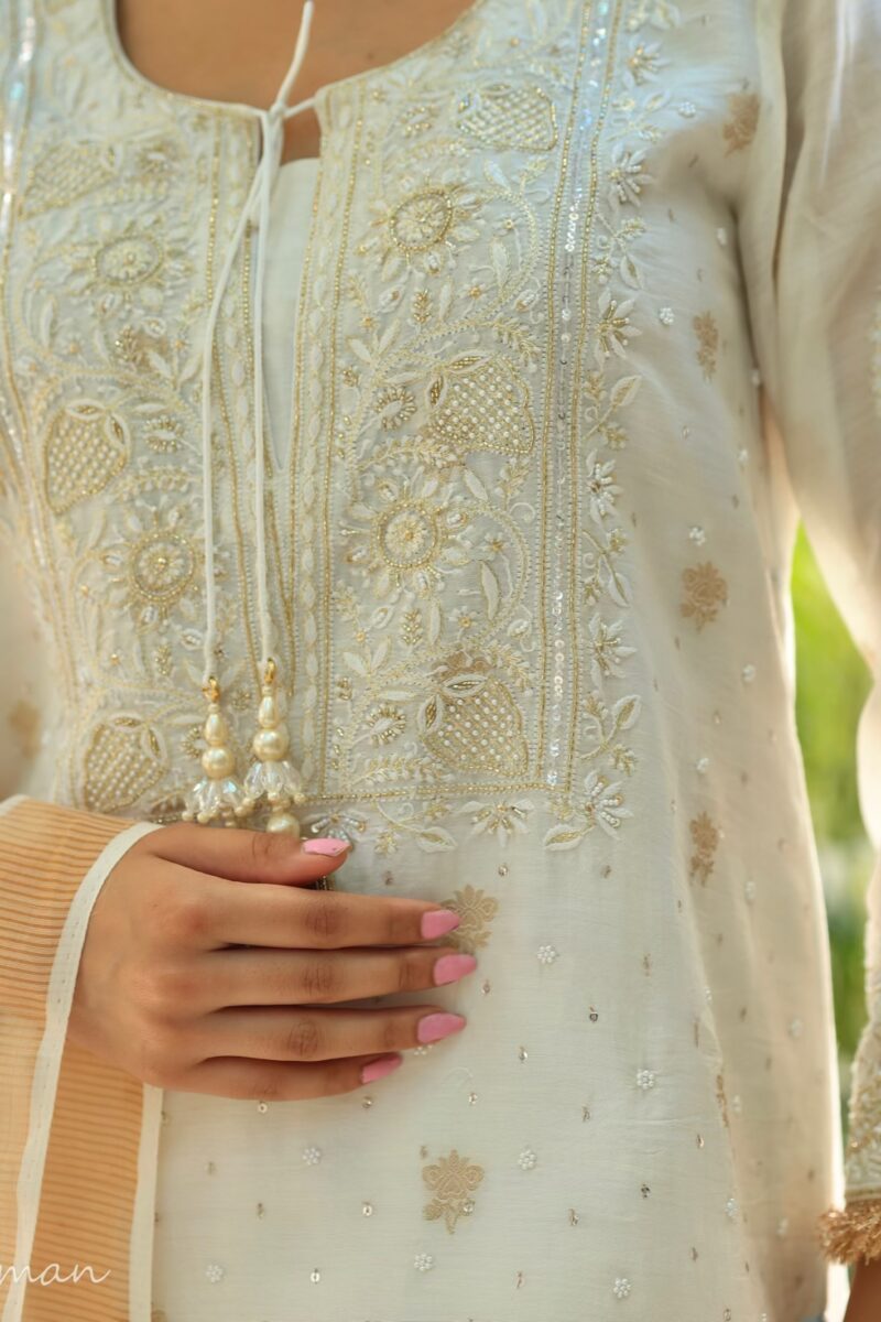 Benarasi Zari Chanderi Chikankari Sharara Set