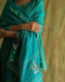 Green Noor Organza Badla Anarkali With Dupatta