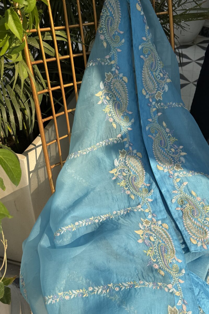 Blue Noor Organza Fine Resham Chikankari Saree