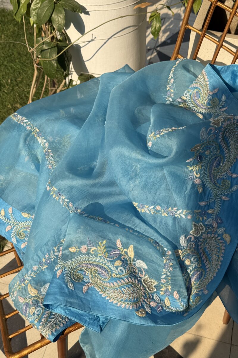 Blue Noor Organza Fine Resham Chikankari Saree