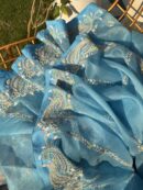 Blue Noor Organza Fine Resham Chikankari Saree