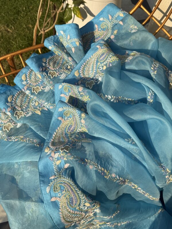Blue Noor Organza Fine Resham Chikankari Saree
