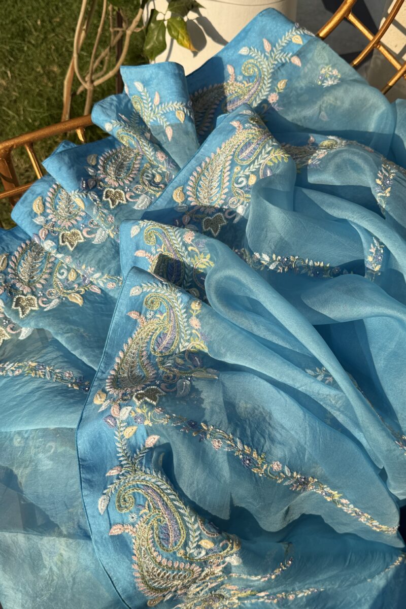 Blue Noor Organza Fine Resham Chikankari Saree