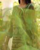 Noor Organza Silk Chikankari Straight Cut Kurta Dupatta Set