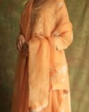 Orange Noor Organza Silk Fine Chikankari with Kamdani Ready to Wear Angarkha