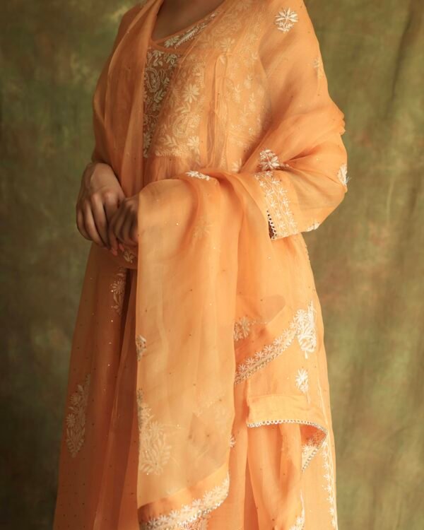 Orange Noor Organza Silk Fine Chikankari with Kamdani Ready to Wear Angarkha - Image 2