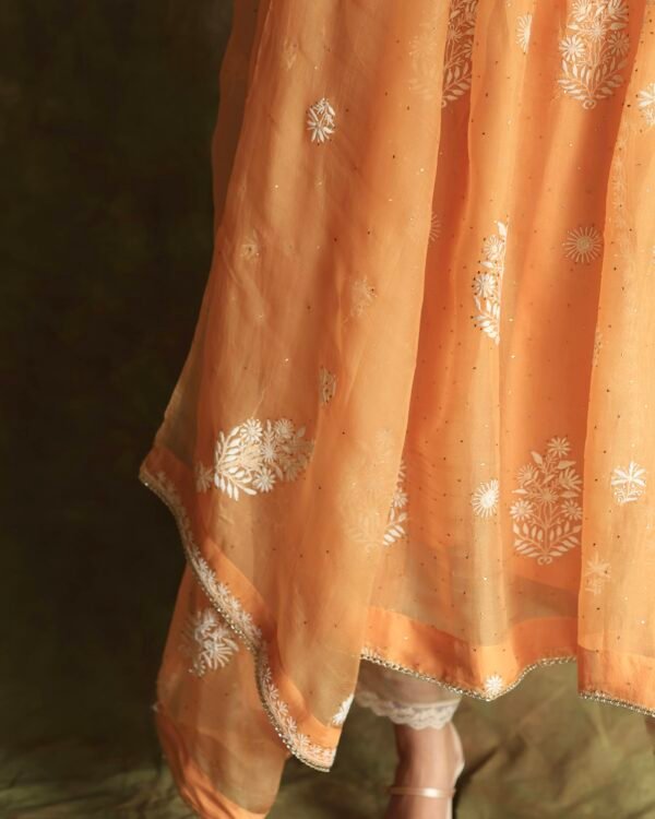 Orange Noor Organza Silk Fine Chikankari with Kamdani Ready to Wear Angarkha - Image 8