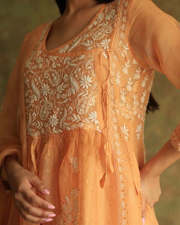 Orange Noor Organza Silk Fine Chikankari with Kamdani Ready to Wear Angarkha - Image 3
