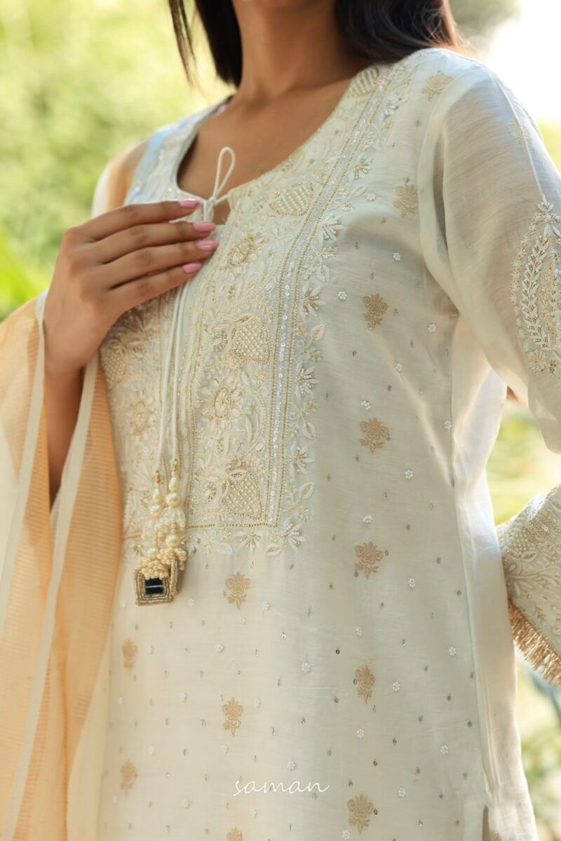 Benarasi Zari Chanderi Chikankari Sharara Set