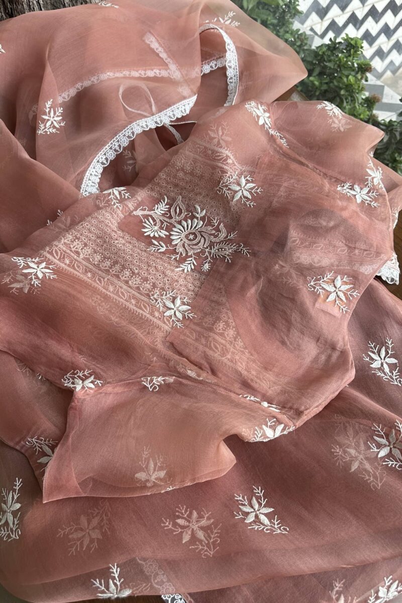 Fine Chikankari Noor Organza Silk Kurta Set