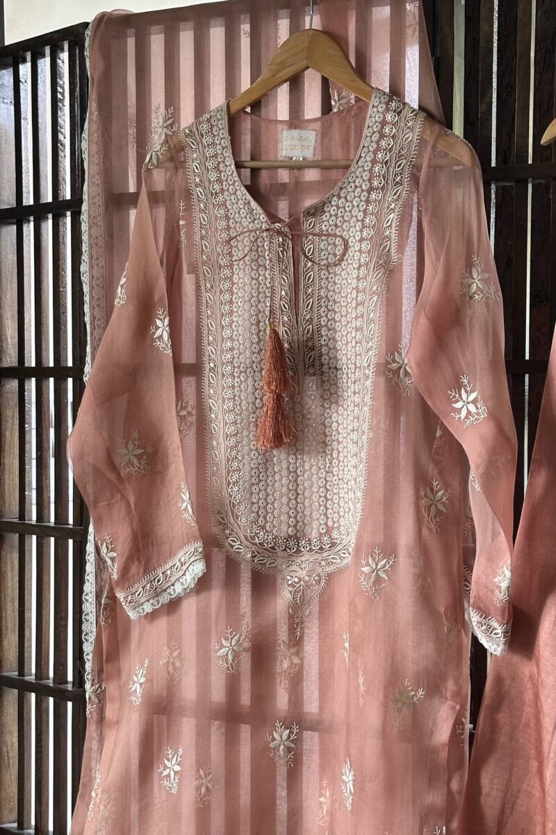 Fine Chikankari Noor Organza Silk Kurta Set