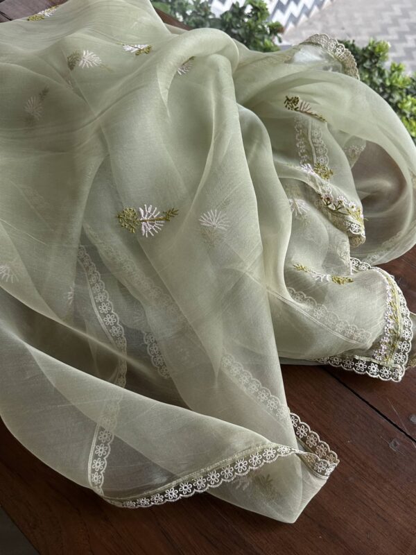 Fine Chikankari Noor Organza Silk Kurta Set - Image 4