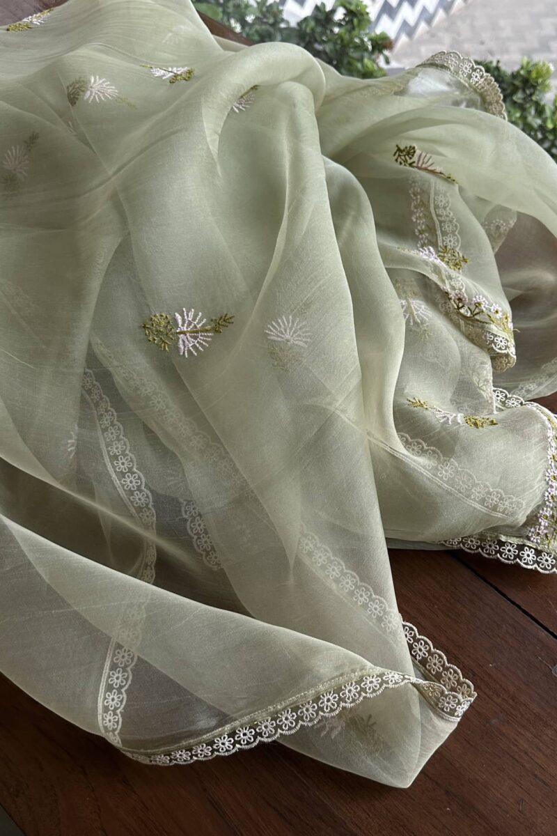 Fine Chikankari Noor Organza Silk Kurta Set