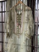 Fine Chikankari Noor Organza Silk Kurta Set