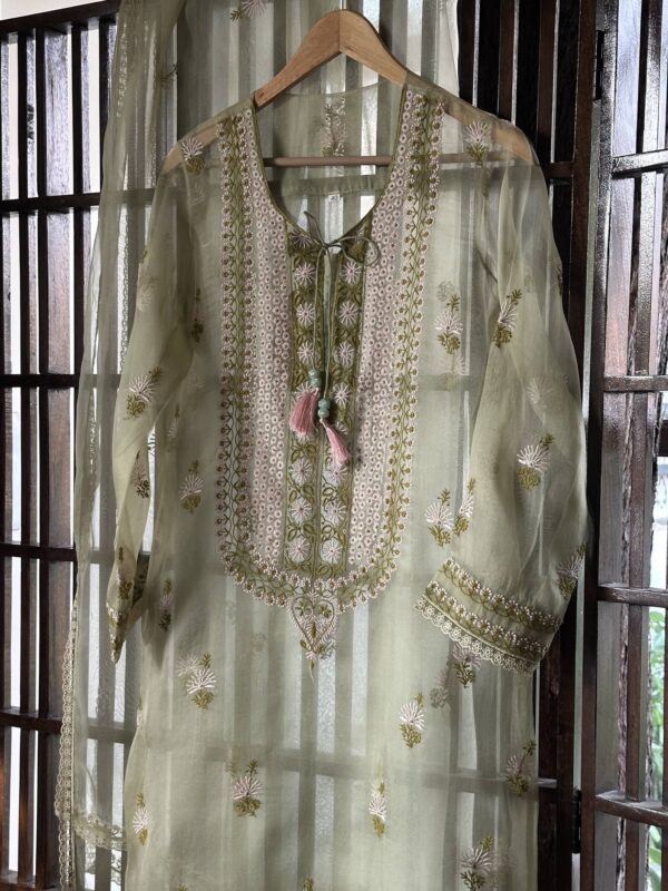Fine Chikankari Noor Organza Silk Kurta Set