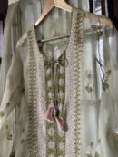 Fine Chikankari Noor Organza Silk Kurta Set