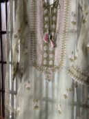 Fine Chikankari Noor Organza Silk Kurta Set