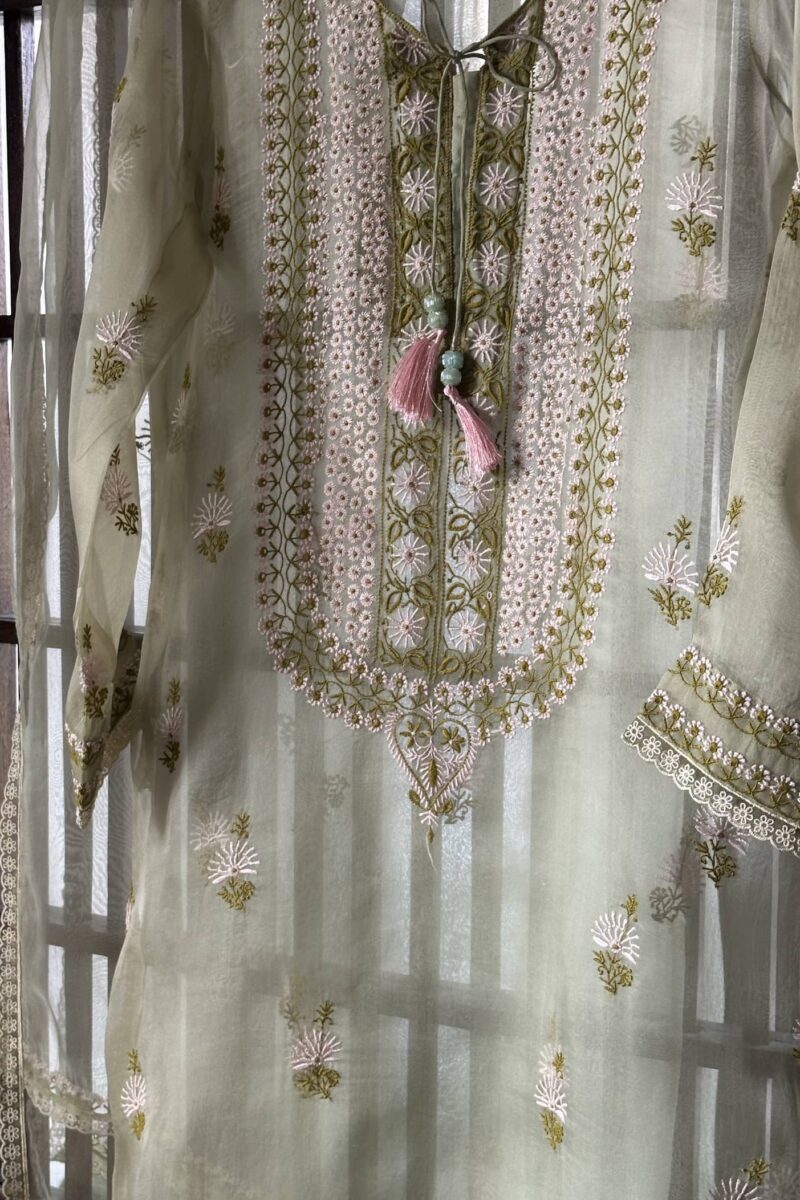 Fine Chikankari Noor Organza Silk Kurta Set