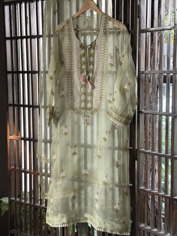 Fine Chikankari Noor Organza Silk Kurta Set - Image 2
