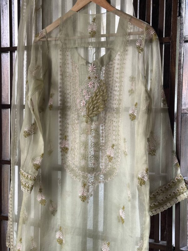 Fine Chikankari Noor Organza Silk Kurta Set - Image 7