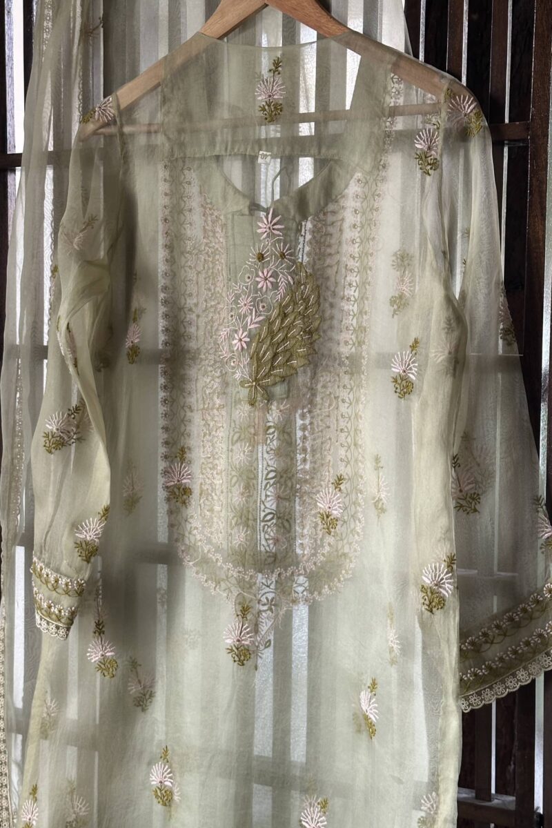 Fine Chikankari Noor Organza Silk Kurta Set