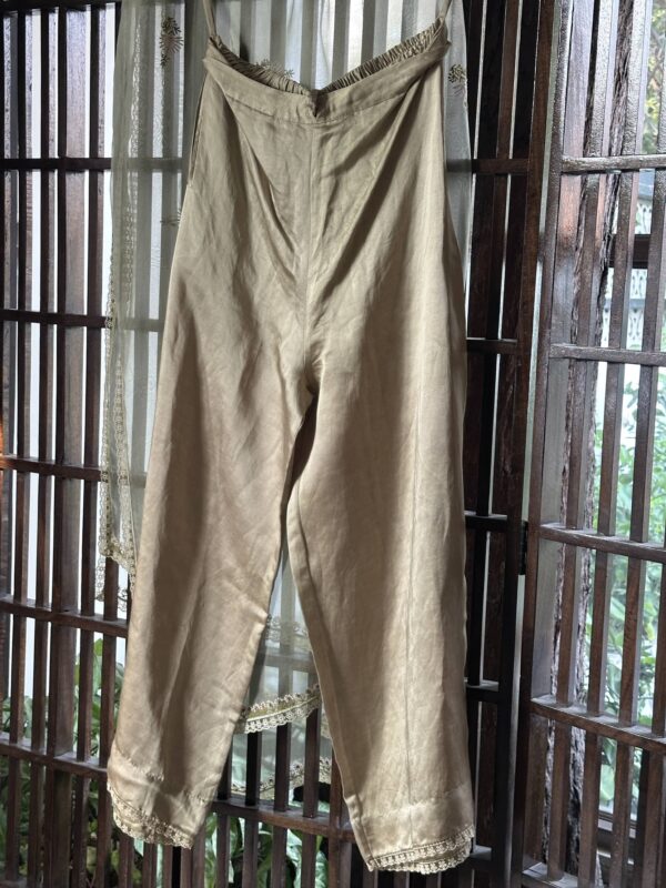 Fine Chikankari Noor Organza Silk Kurta Set - Image 9
