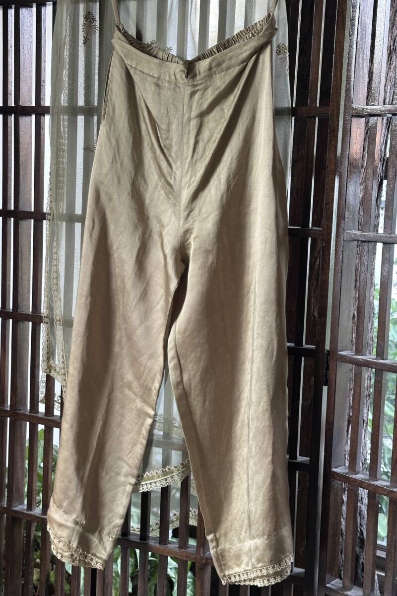 Fine Chikankari Noor Organza Silk Kurta Set