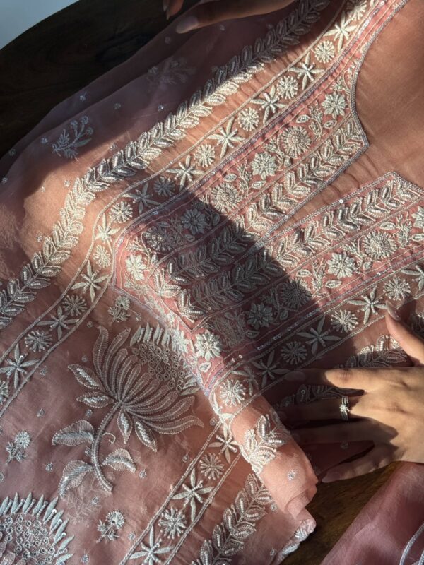 Soft Pink Noor Organza Silk Fine Chikankari Unstitched Fabric - Image 5