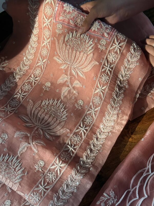 Soft Pink Noor Organza Silk Fine Chikankari Unstitched Fabric - Image 7