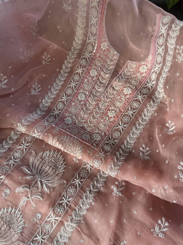 Soft Pink Noor Organza Silk Fine Chikankari Unstitched Fabric - Image 3
