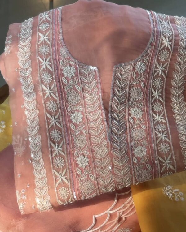Soft Pink Noor Organza Silk Fine Chikankari Unstitched Fabric - Image 2