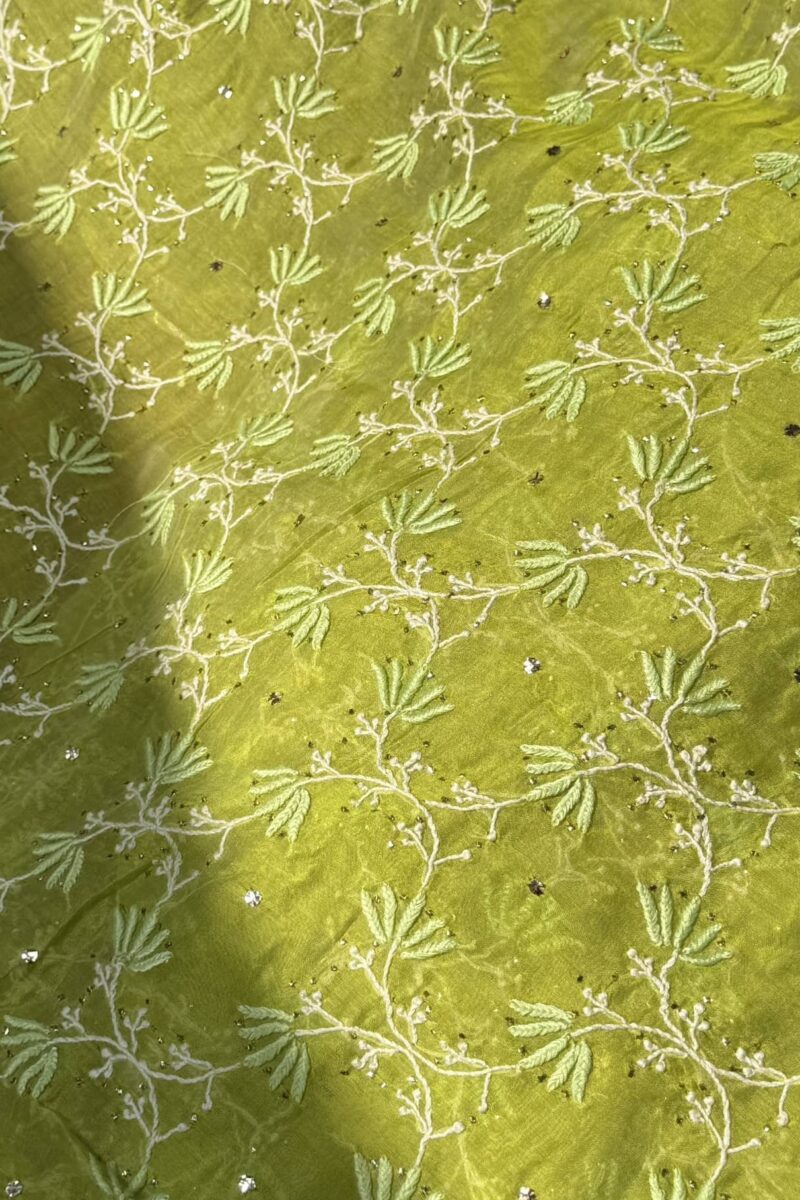 Neon Green  silver | Stripe Linen Chikankari Kamdani Saree