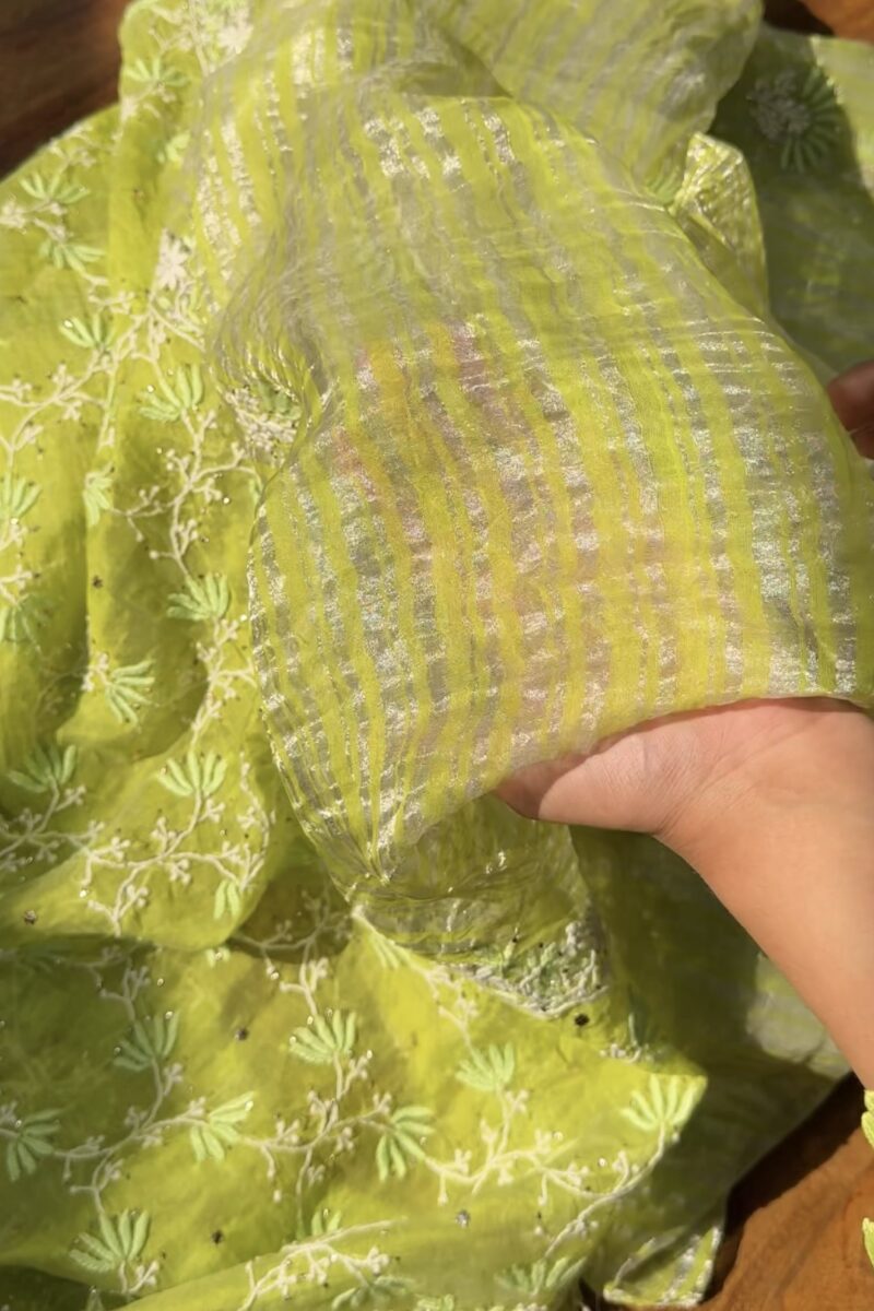 Neon Green  silver | Stripe Linen Chikankari Kamdani Saree
