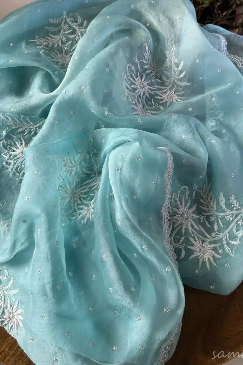 Ice Blue Noor Organza Cutwork Chikankari Saree