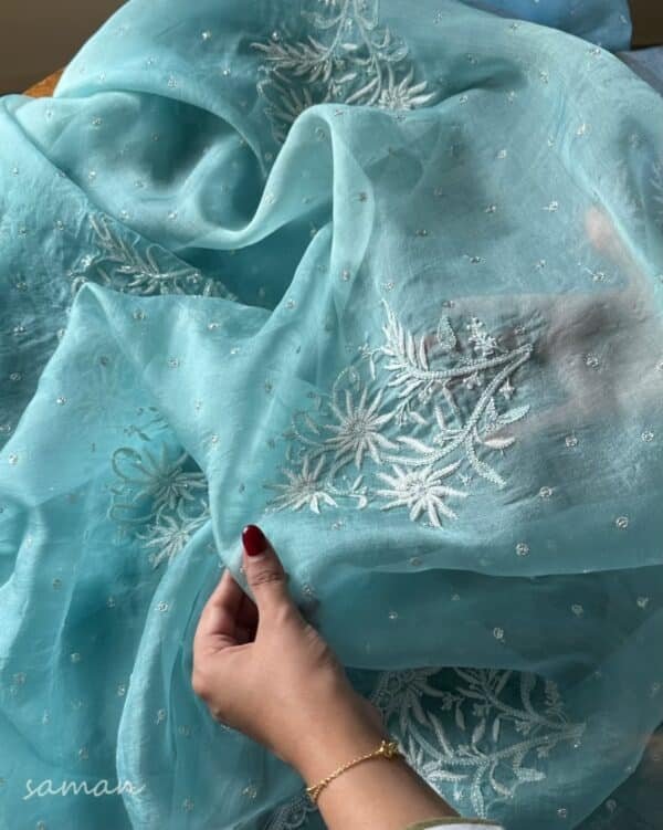 Ice Blue Noor Organza Cutwork Chikankari Saree - Image 8