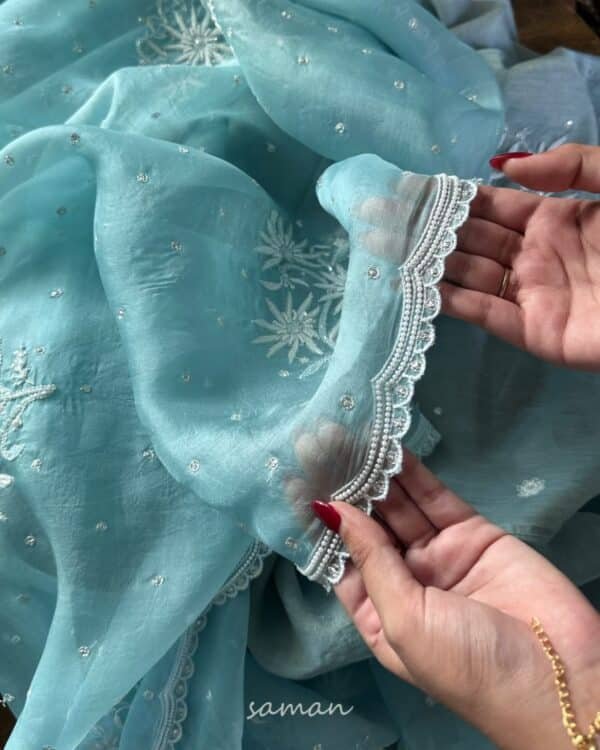 Ice Blue Noor Organza Cutwork Chikankari Saree - Image 9