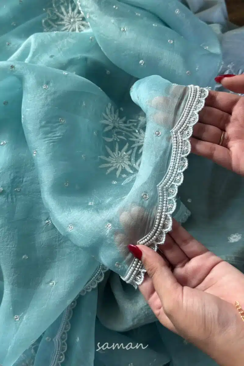 Ice Blue Noor Organza Cutwork Chikankari Saree