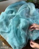 Ice Blue Noor Organza Cutwork Chikankari Saree