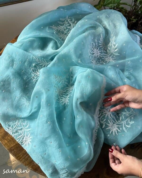 Ice Blue Noor Organza Cutwork Chikankari Saree - Image 3