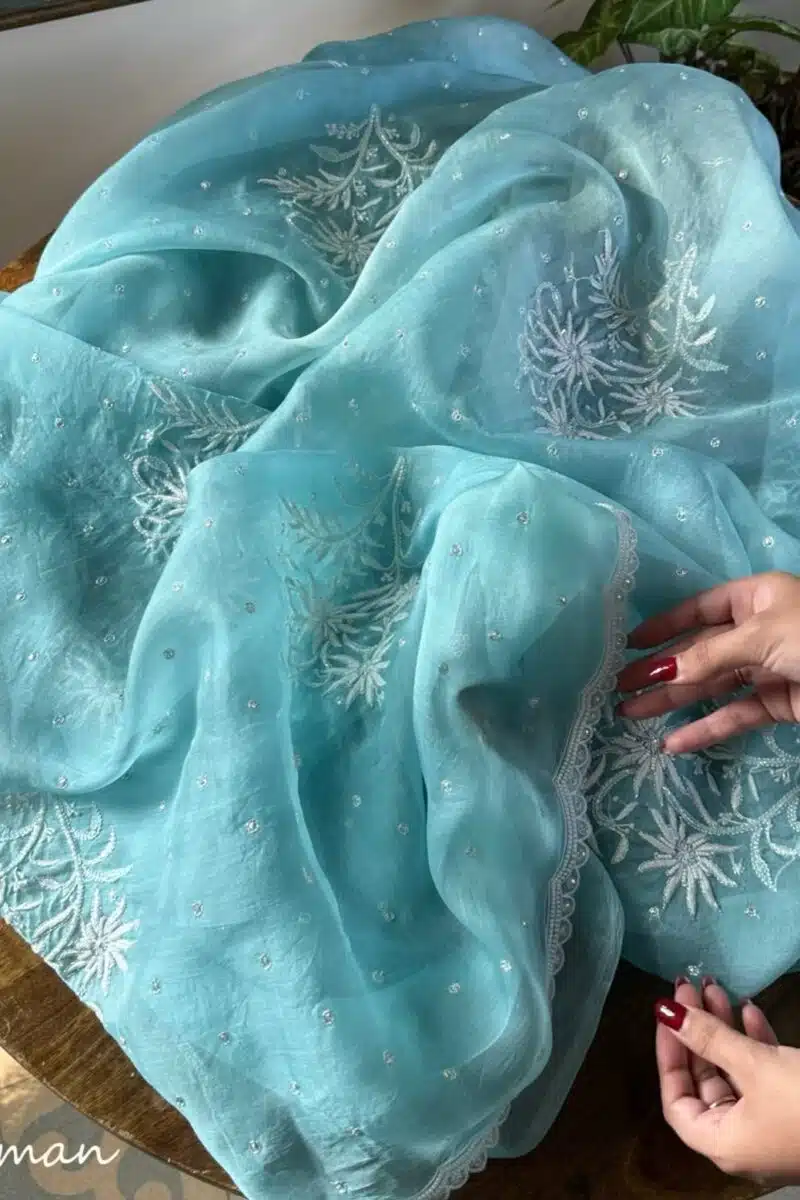 Ice Blue Noor Organza Cutwork Chikankari Saree