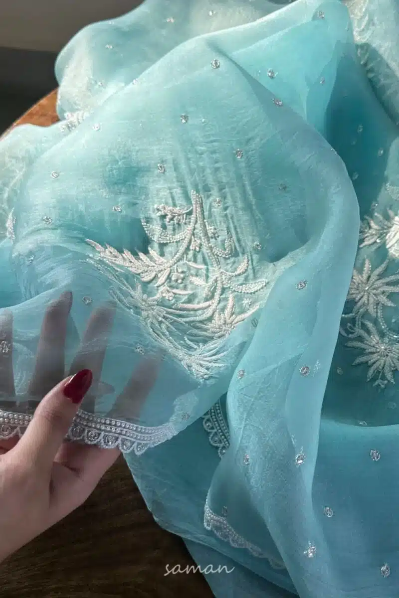 Ice Blue Noor Organza Cutwork Chikankari Saree