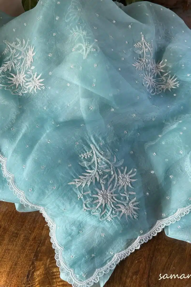 Ice Blue Noor Organza Cutwork Chikankari Saree