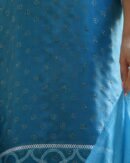 Blue Mukaish Kamdani Noor Organza Chikankari Kurta Set
