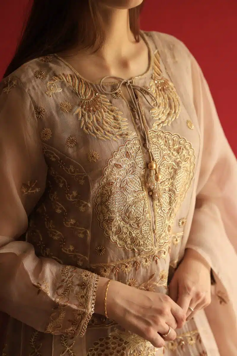Beige Noor Organza Chikankari Anarkali Set