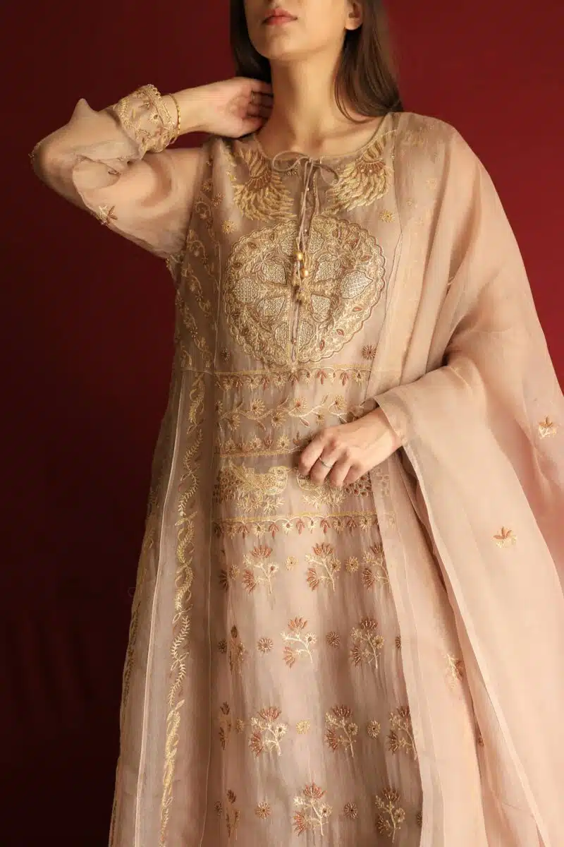 Beige Noor Organza Chikankari Anarkali Set